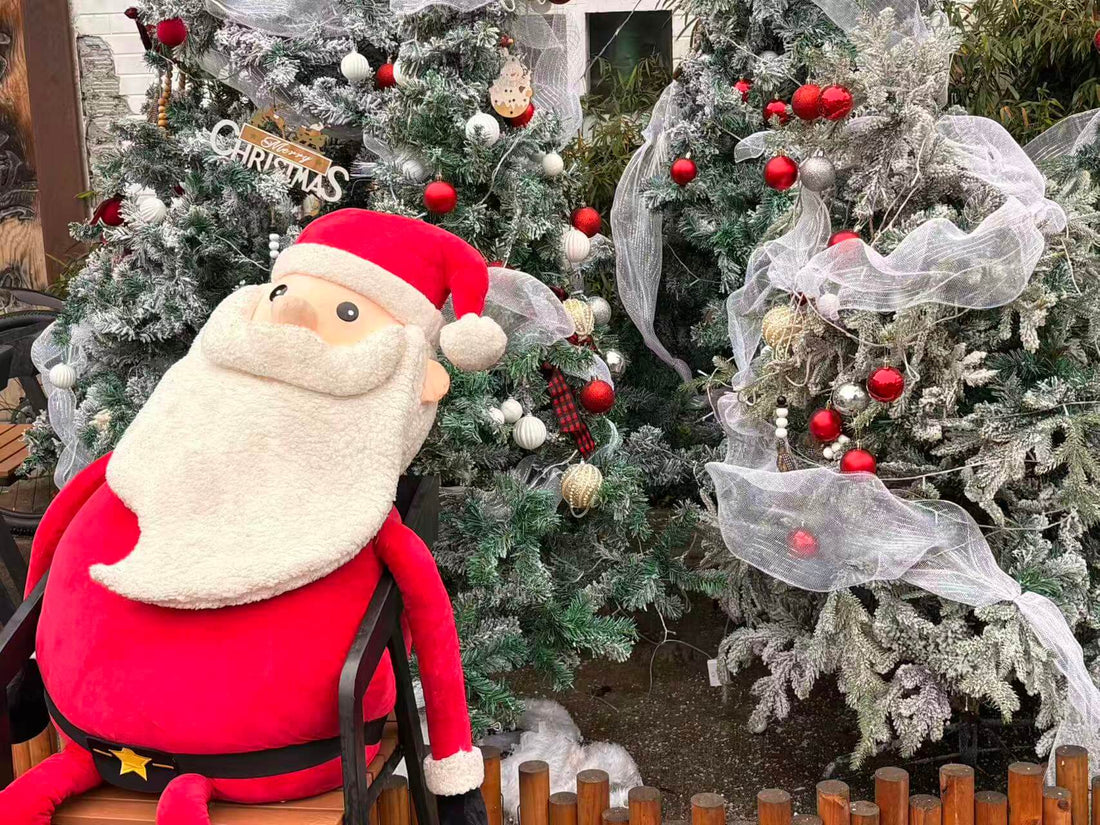 Merry Christmas in 2025