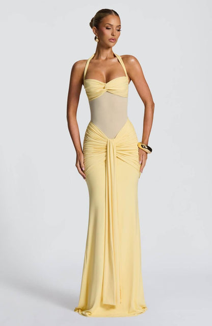 Mesh Fish-Shaped Long Dress