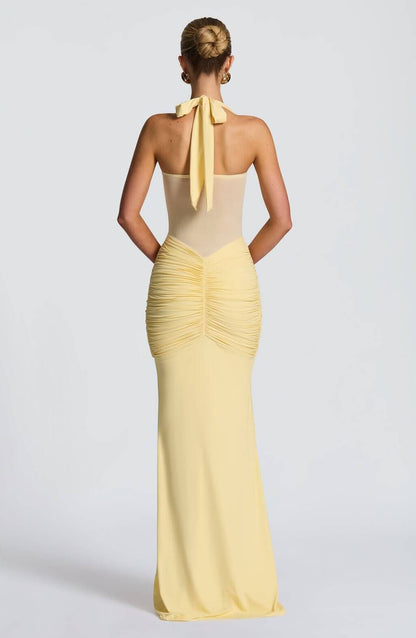 Mesh Fish-Shaped Long Dress
