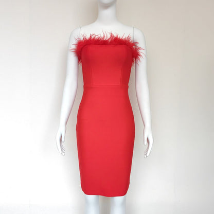Robe Bandeau Rita Bodycon Ornée de Plumes