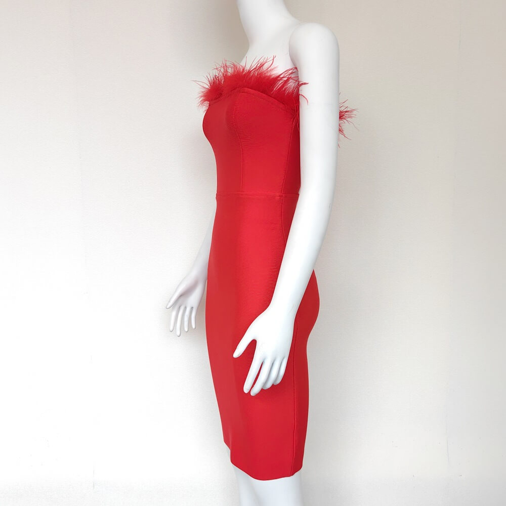 Robe Bandeau Rita Bodycon Ornée de Plumes