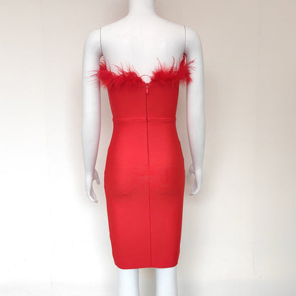 Robe Bandeau Rita Bodycon Ornée de Plumes
