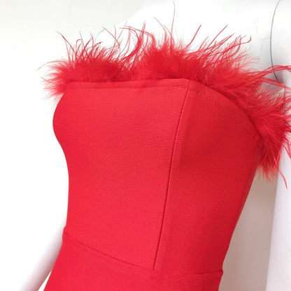 Robe Bandeau Rita Bodycon Ornée de Plumes