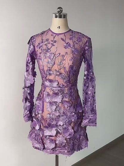 Lace Long Sleeves Mini Dress